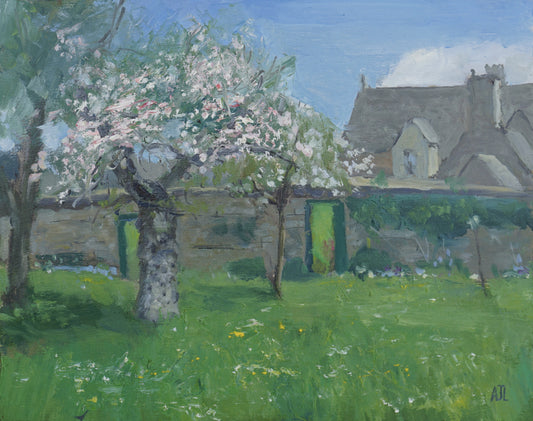 Orchard Blossom, Cogges Manor Farm