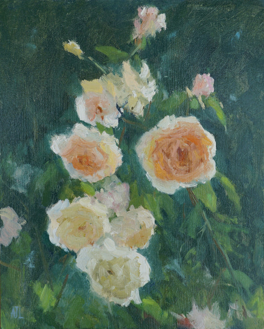 Roses in Morning Light