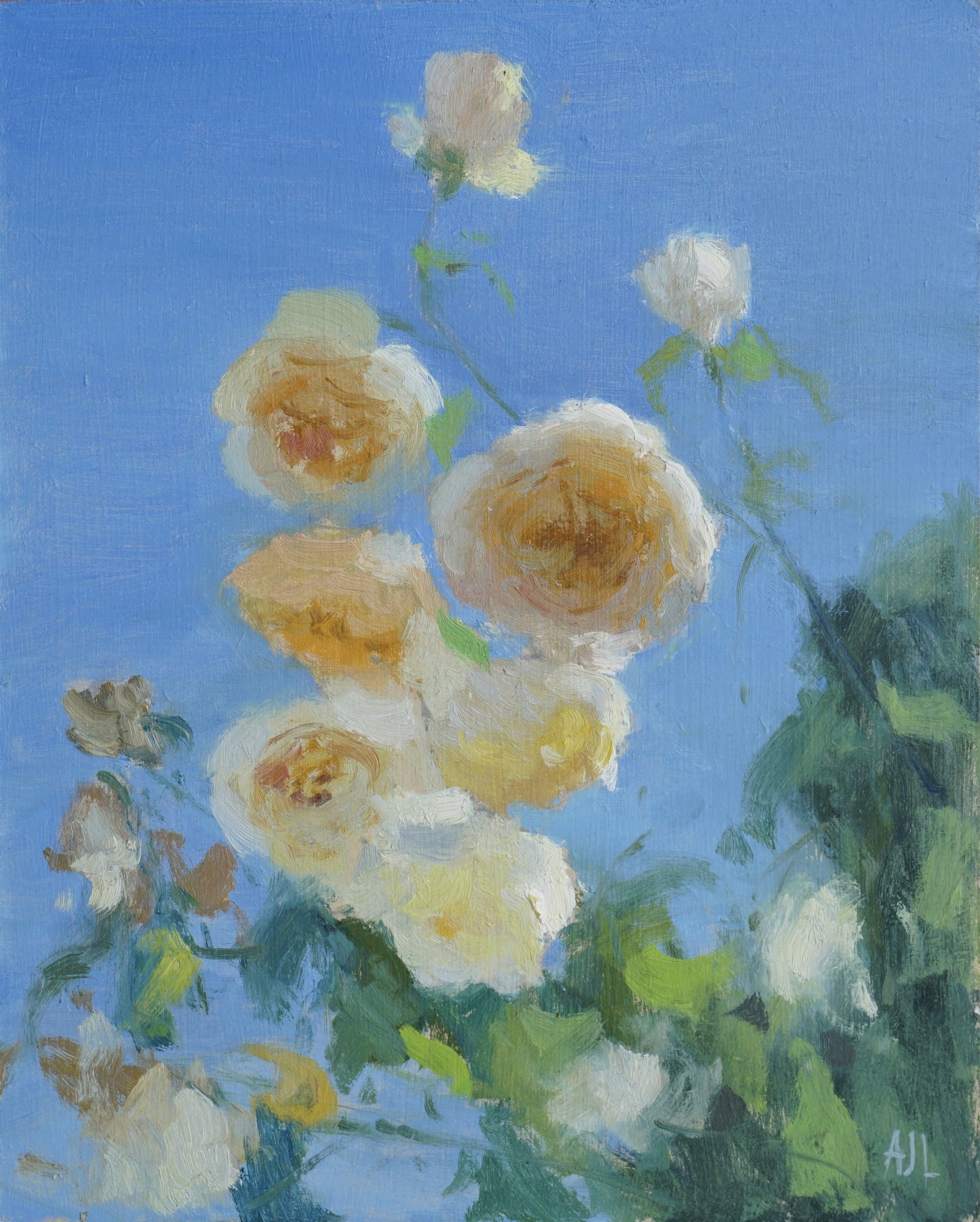 Roses under a Blue Sky, Cotswolds