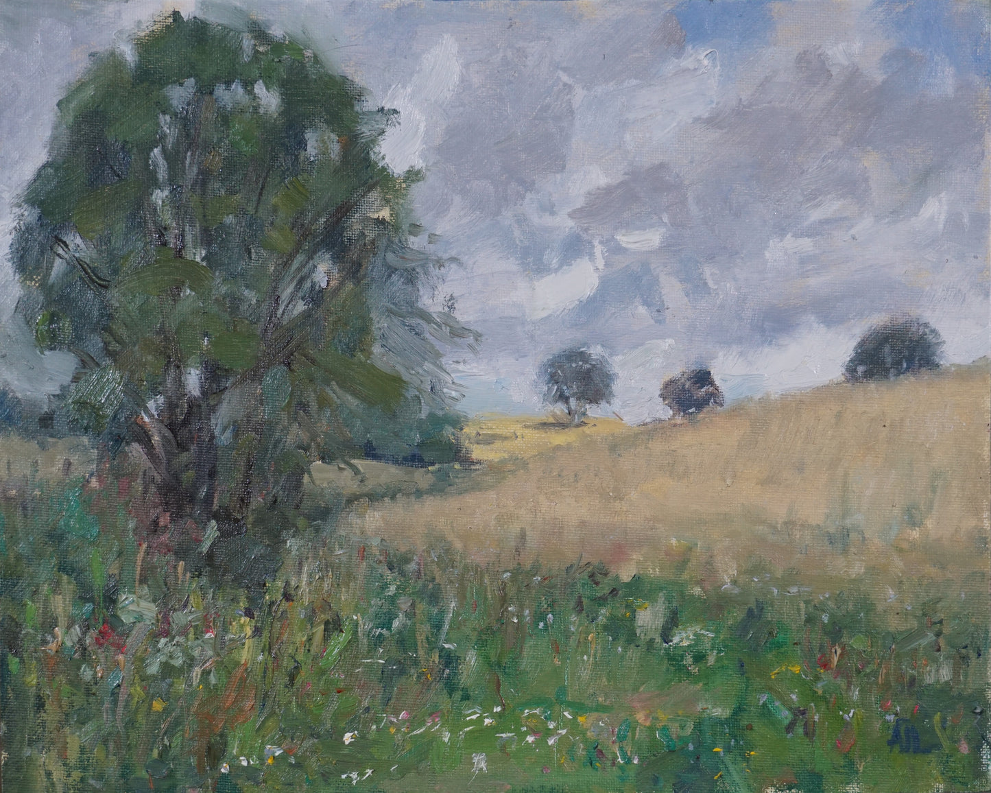 Summer Fields, Minster Lovell