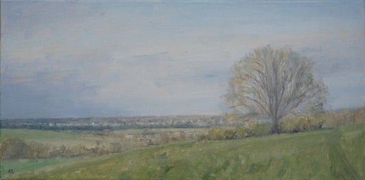 View of Oxford from Boars Hill